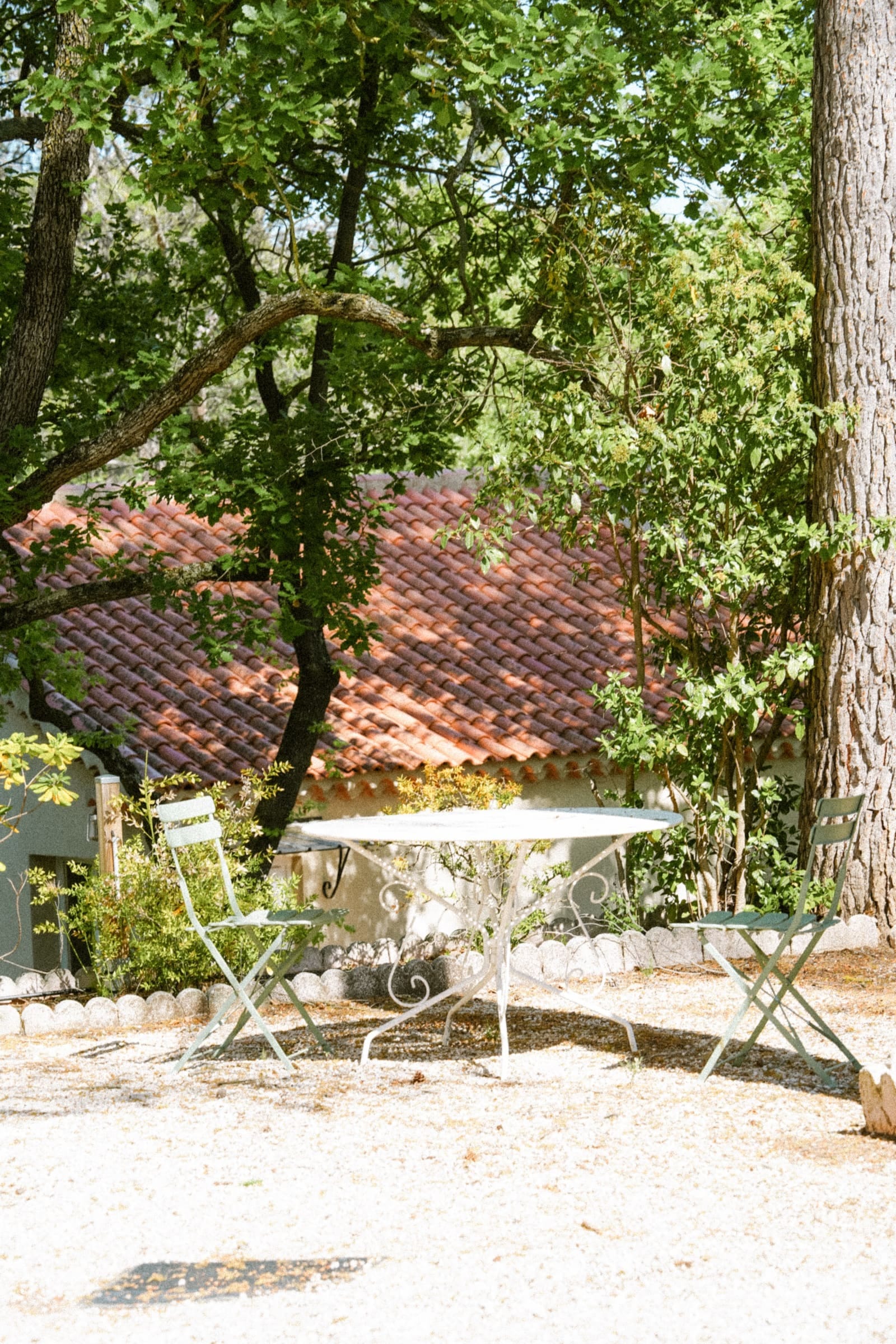 Table de brunch dressée entre deux pins parasol sur la terrasse de La Garrigue à Aix-en-Provence