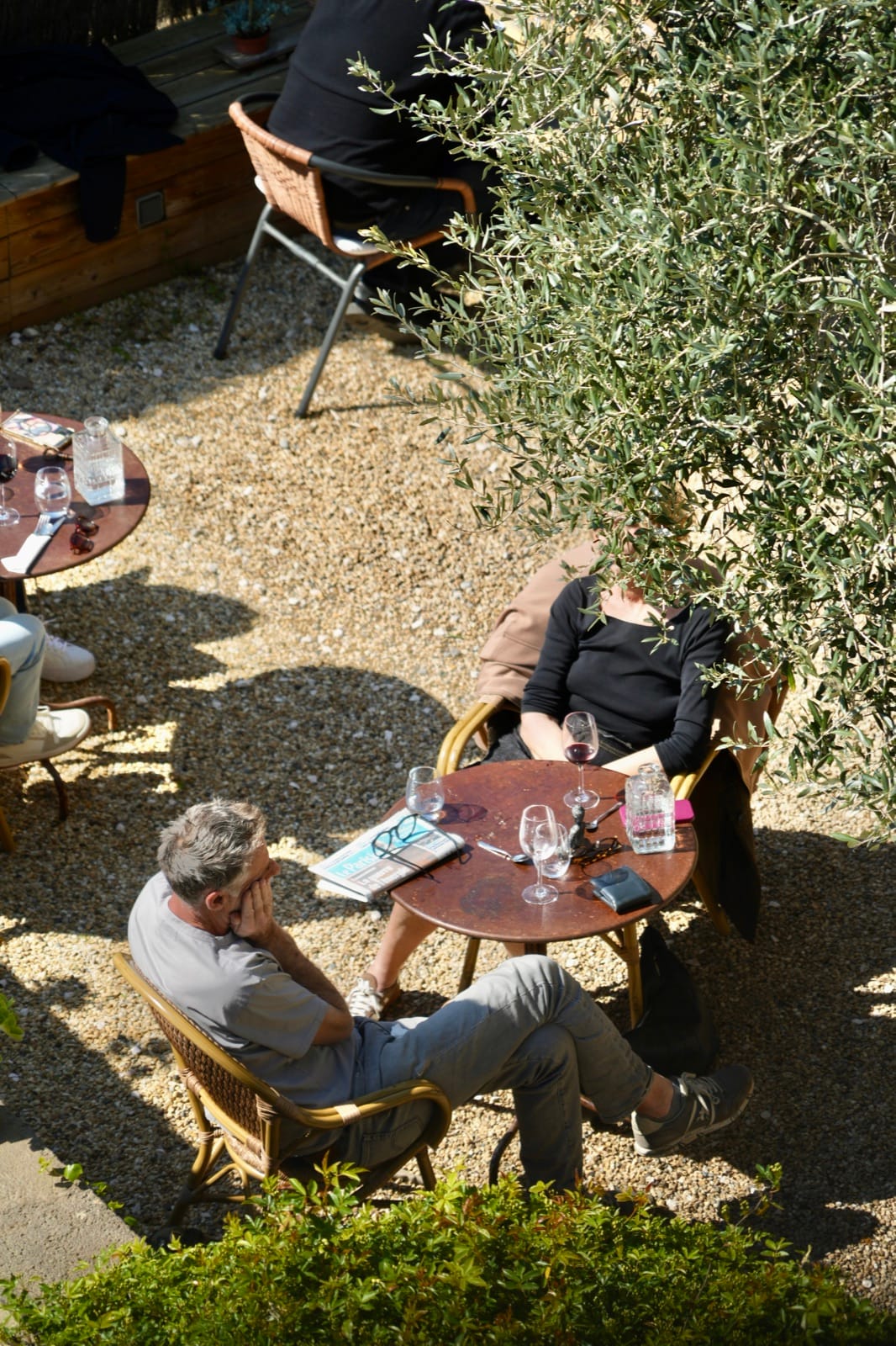 Guests seated under the garden's olive tree