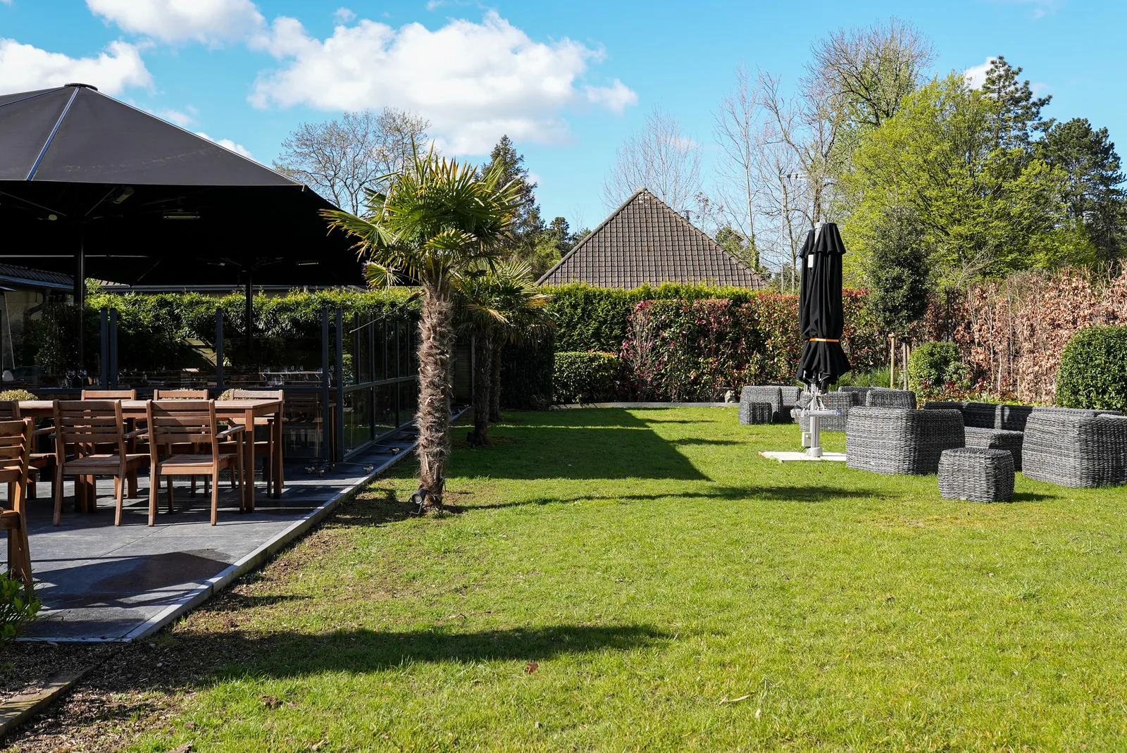 Le jardin et la terrasse sous le ciel bleu, bordés d'arbres