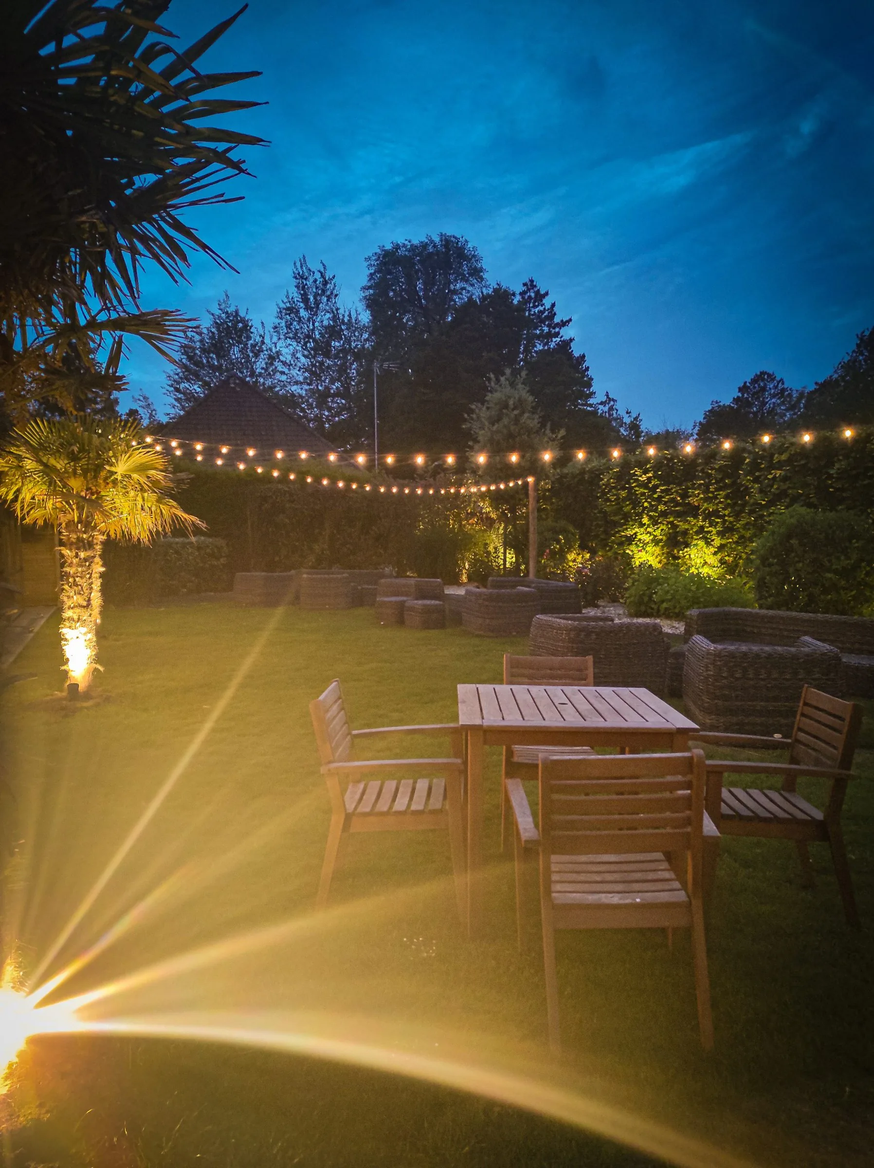 Le jardin de nuit, éclairé par des guirlandes lumineuses