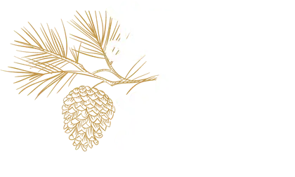 La Dune aux Loups