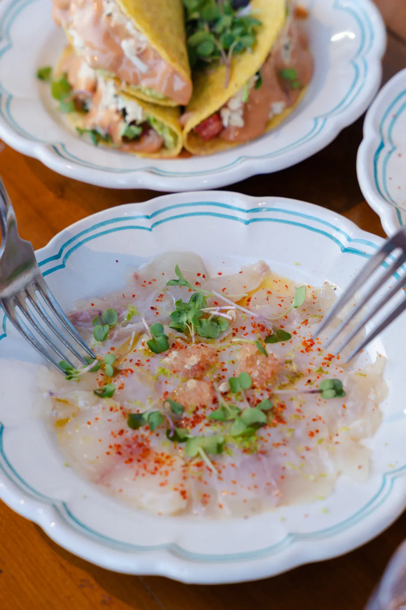 Ceviche de poisson aux pousses fraîches et taco garni, en assiettes festonnées
