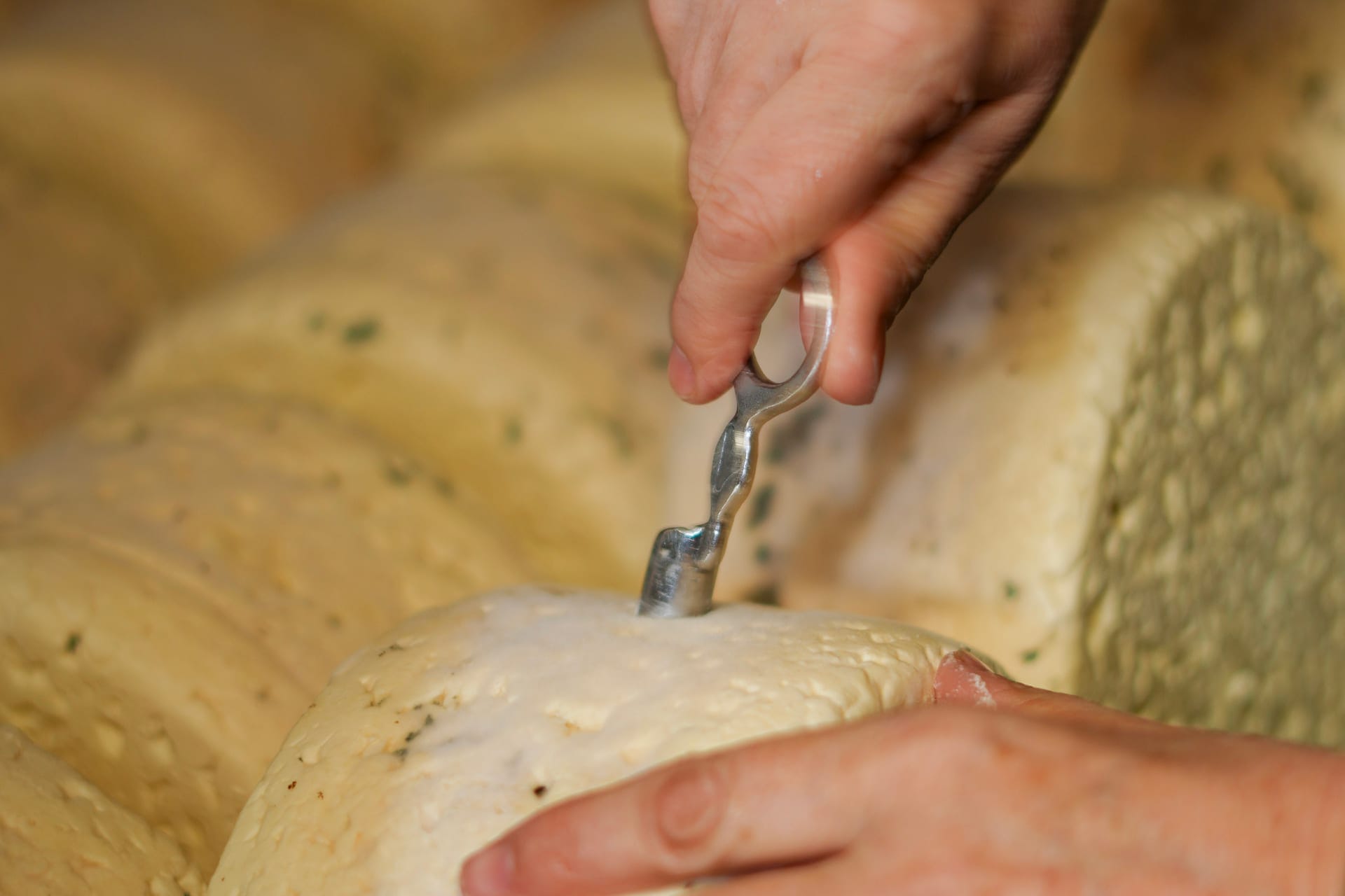 Main tournant un fromage sur travée de bois