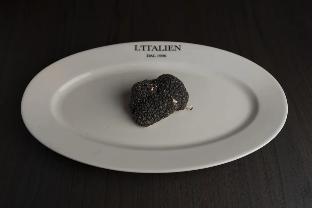 Truffe fraîche