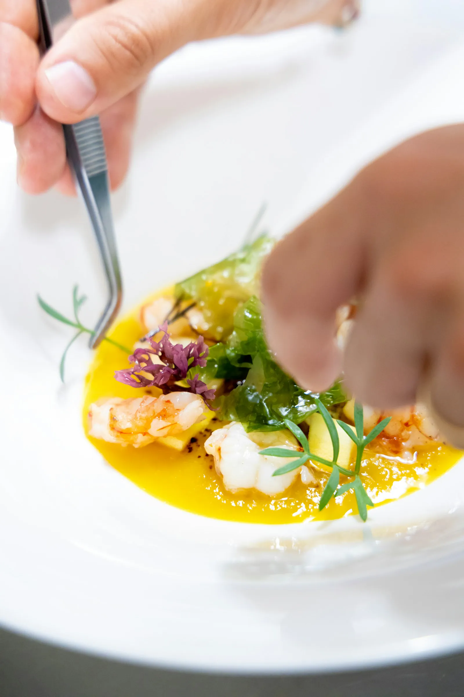 Dressage à la pincette d'une assiette de saison, en cuisine
