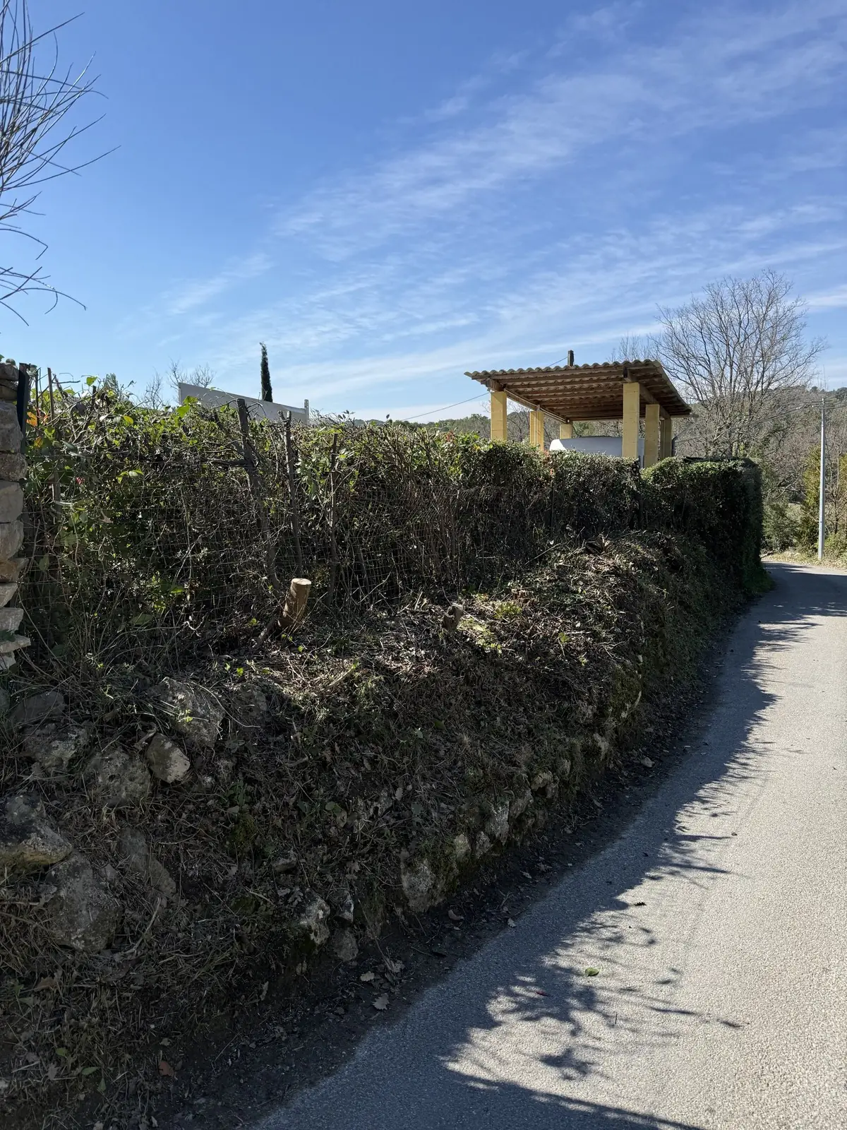 Haie taillée le long d'un chemin en pente