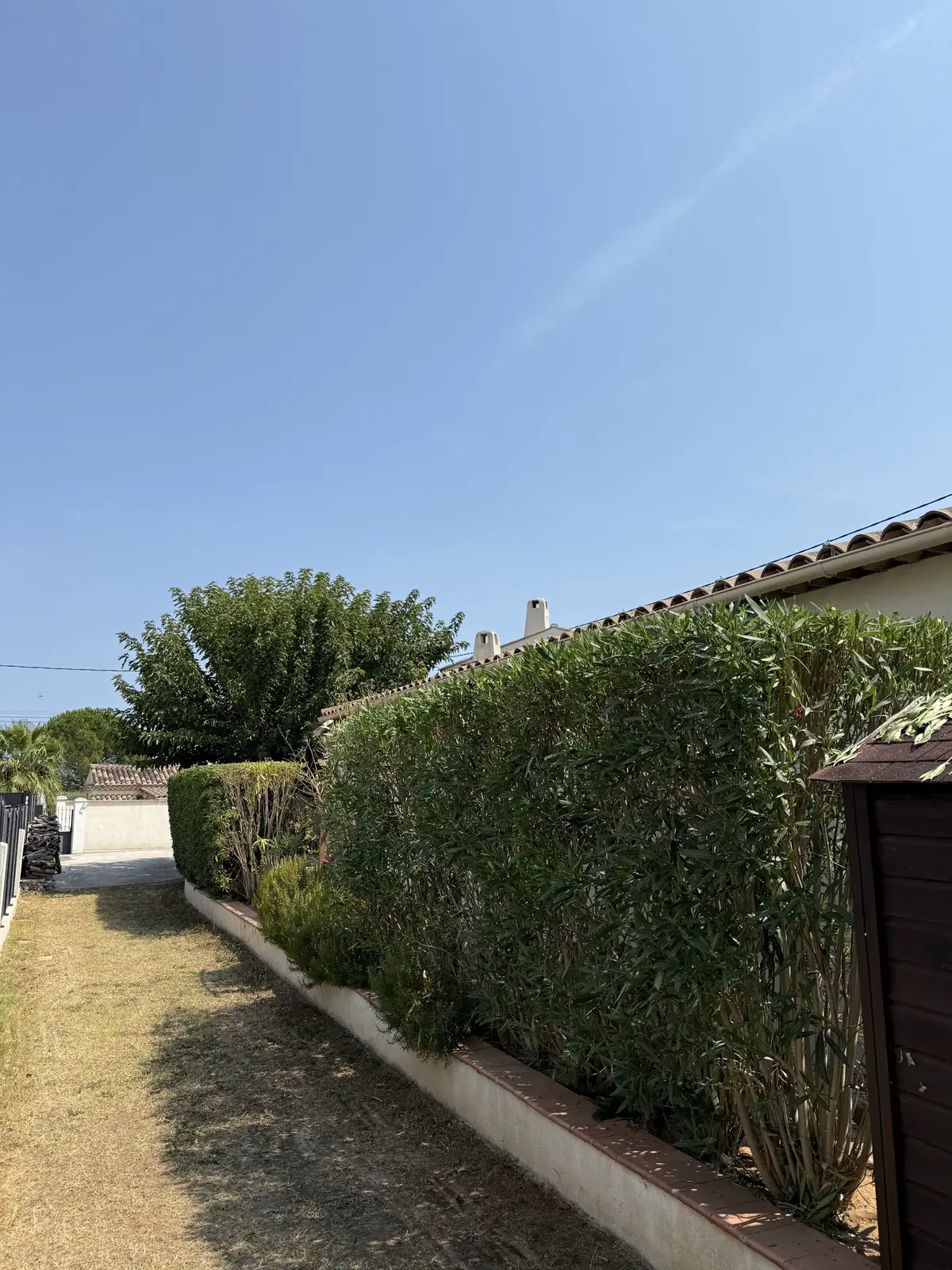 Haie entretenue le long d'un mur et d'une allée