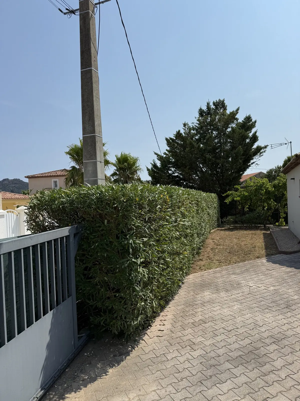 Haie taillée droite devant un portail