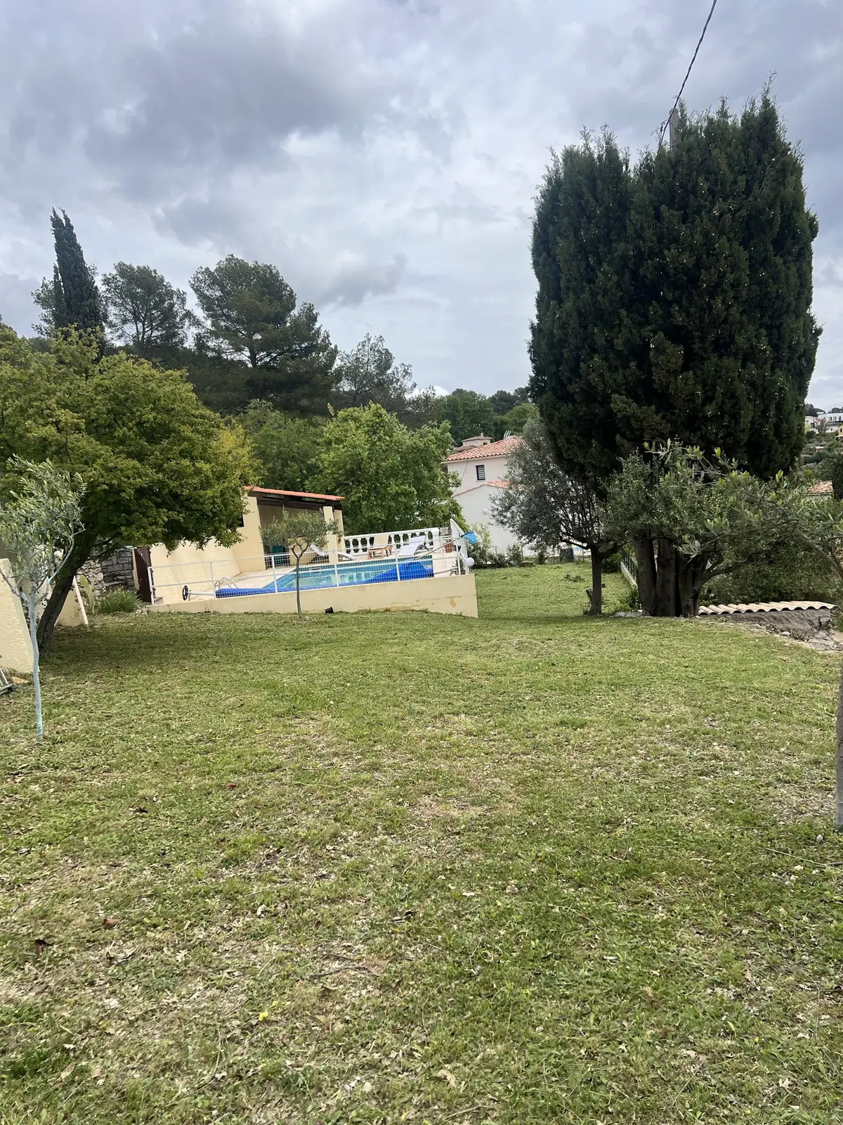 Pelouse tondue au bord d'une piscine