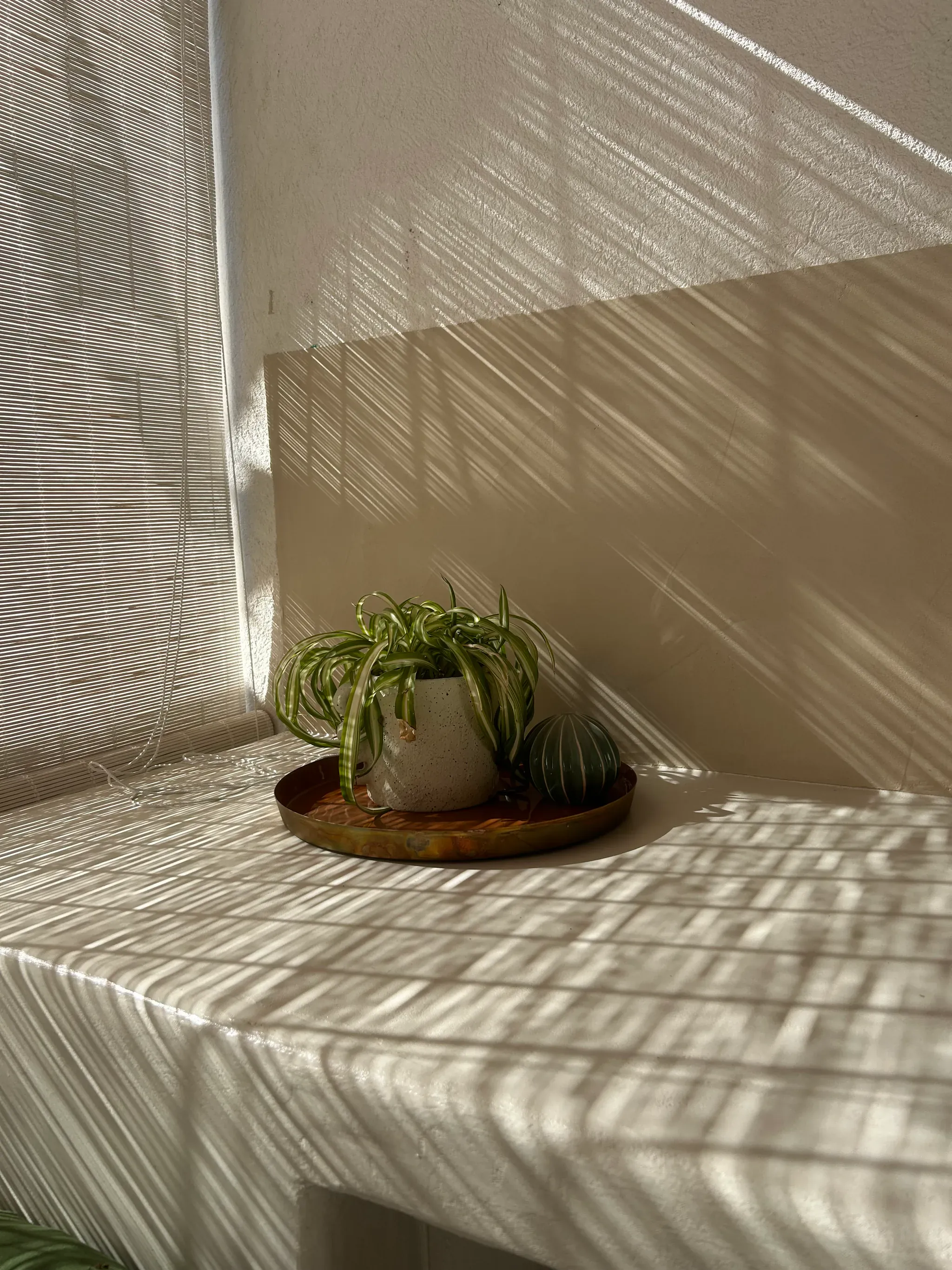 Coin lumineux avec plante et lumière naturelle filtrée, ambiance couloir apaisée