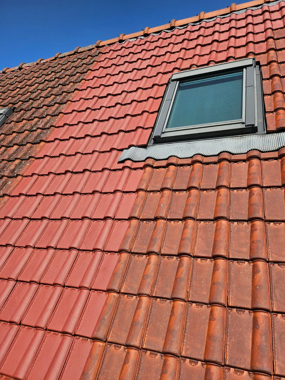 Toiture en tuiles rouges avec fenêtre de toit, partie nettoyée et partie encore envahie par la mousse