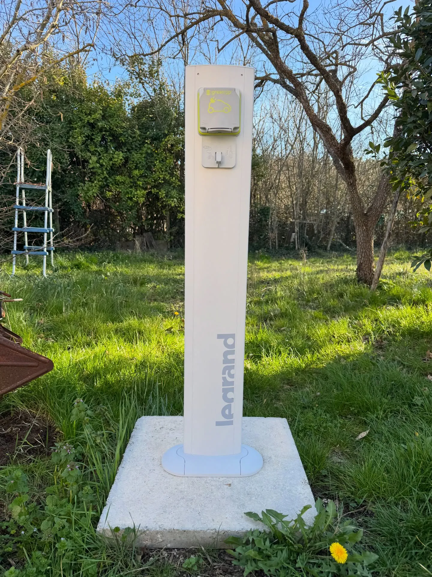 Prise renforcée Green'Up sur pied, à Aix-en-Provence