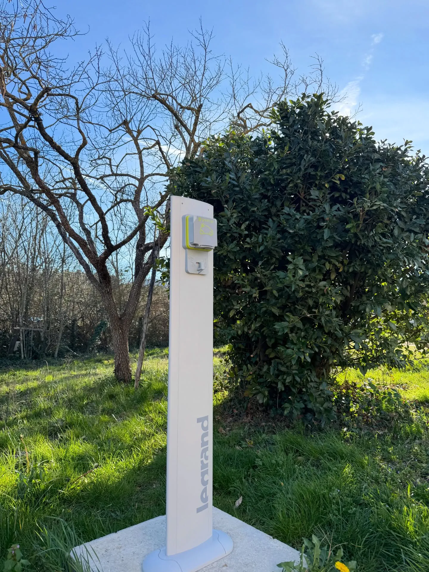 Prise Green'Up sur pied dans un jardin, à Aix-en-Provence