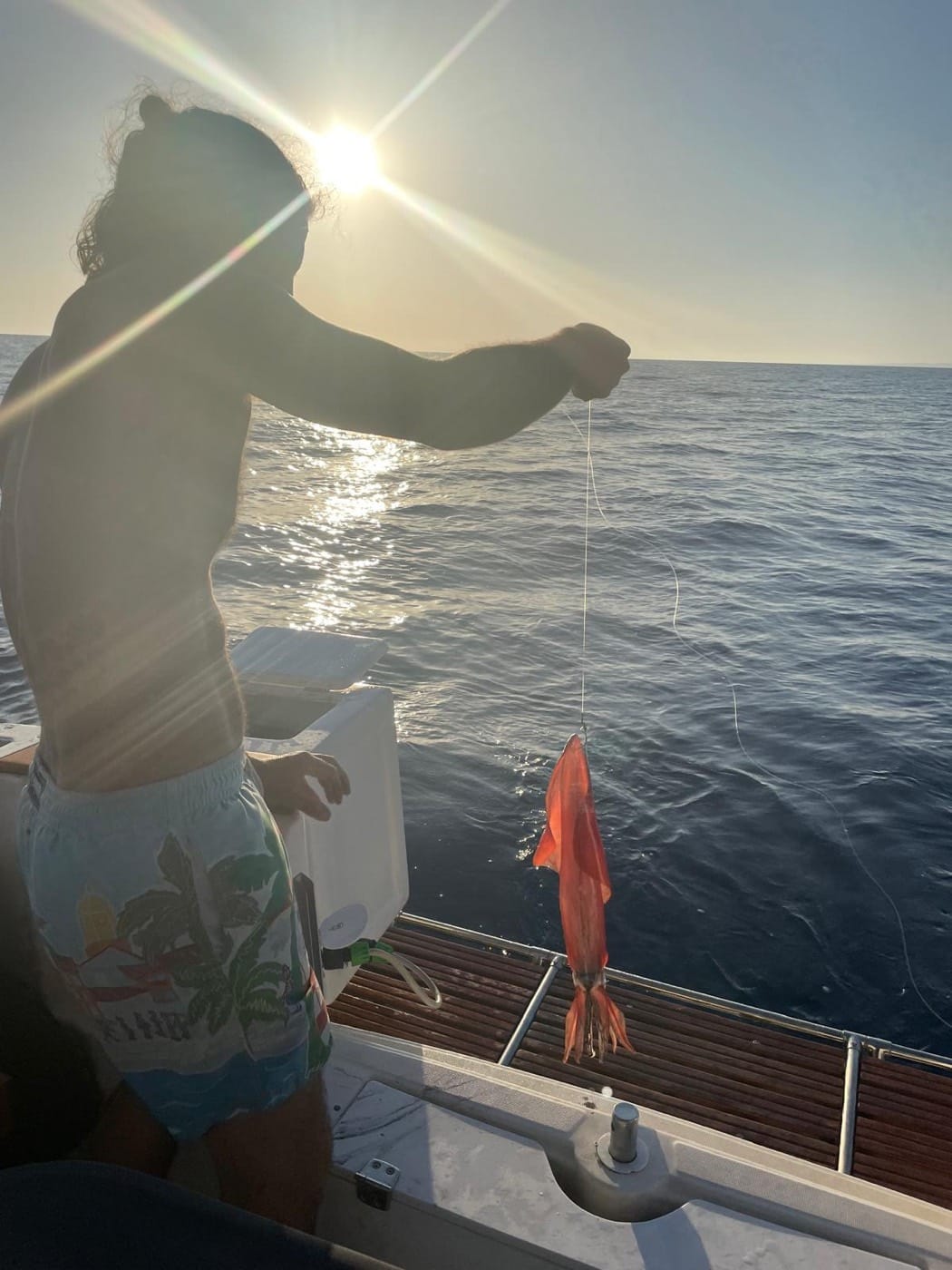 Le Patron en mer au coucher du soleil, sa prise du jour au bout de la ligne
