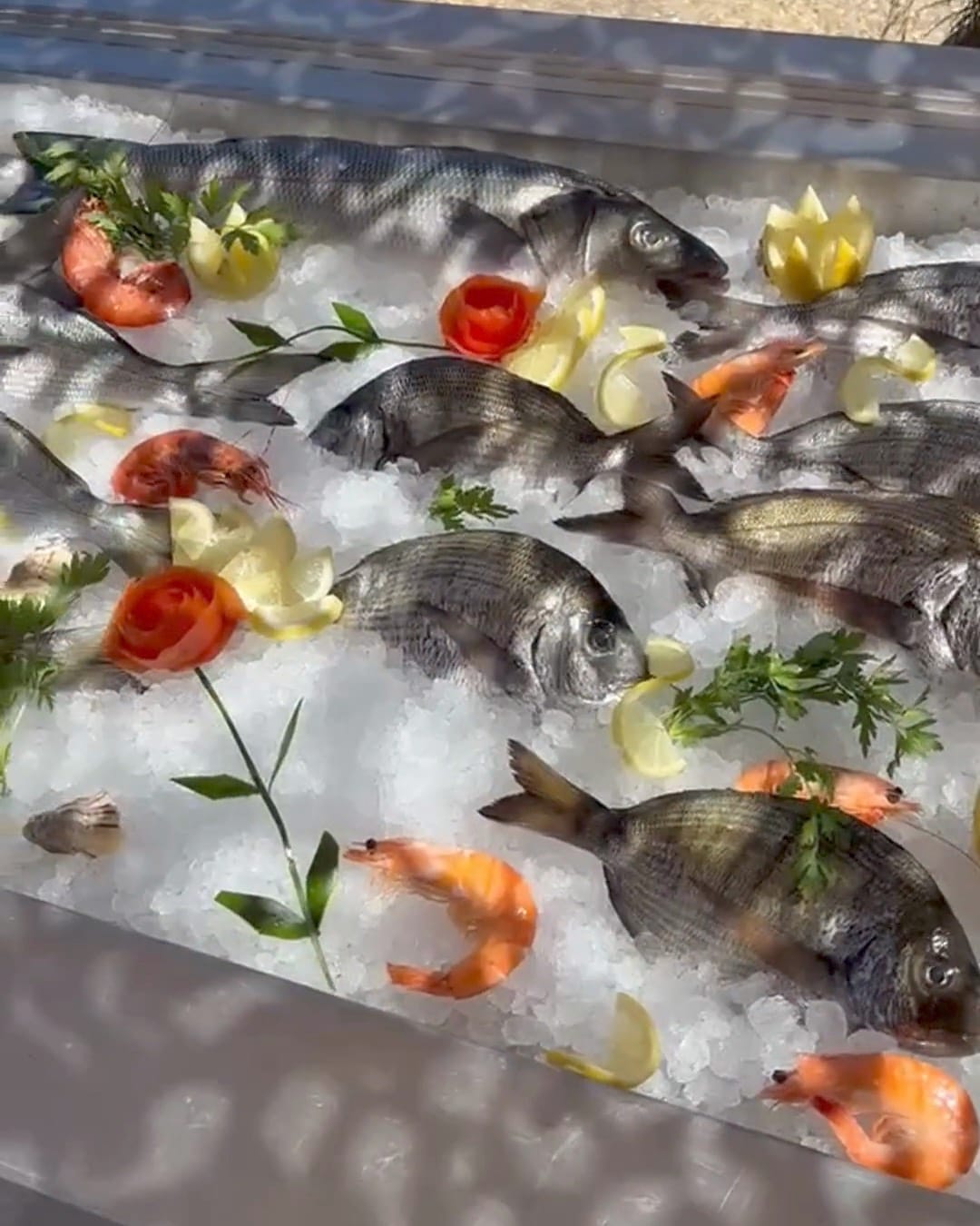 Étal de poissons frais sur glace, daurades, loups et gambas