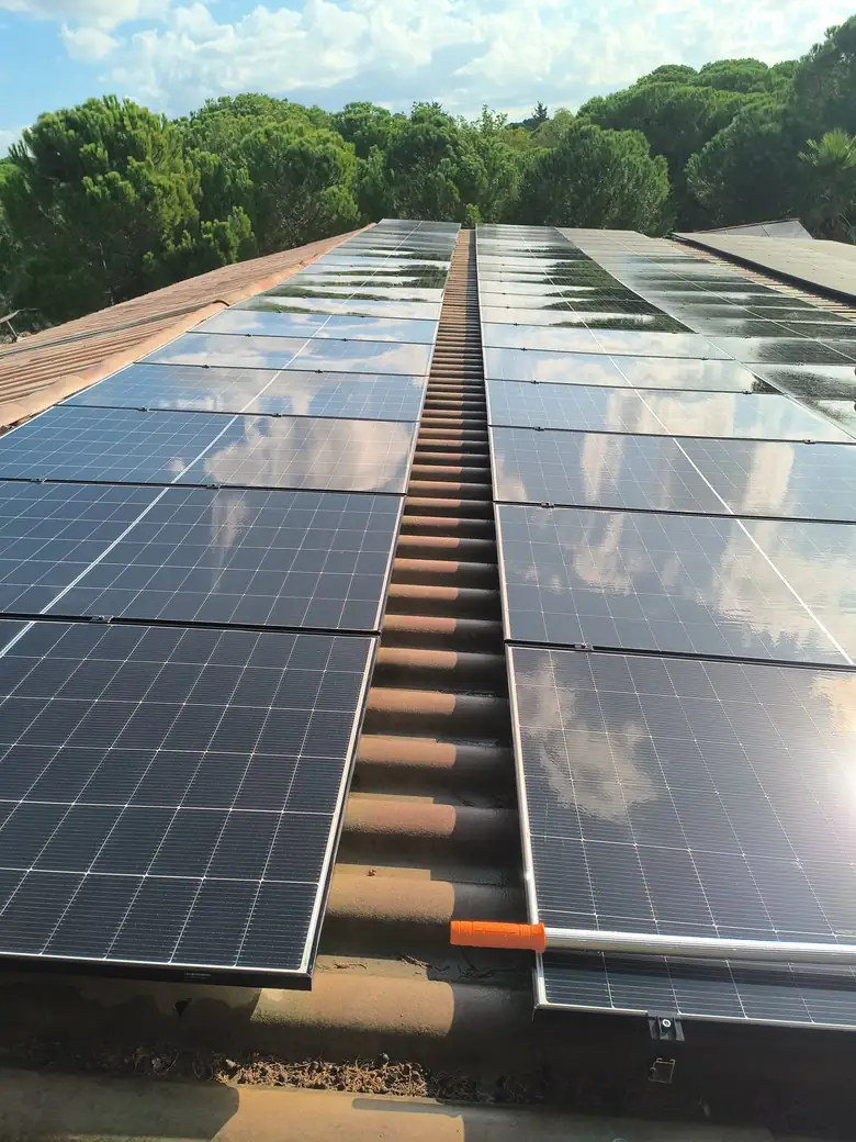 Panneaux solaires photovoltaïques sur un toit de tuiles canal, entre les pins du Var