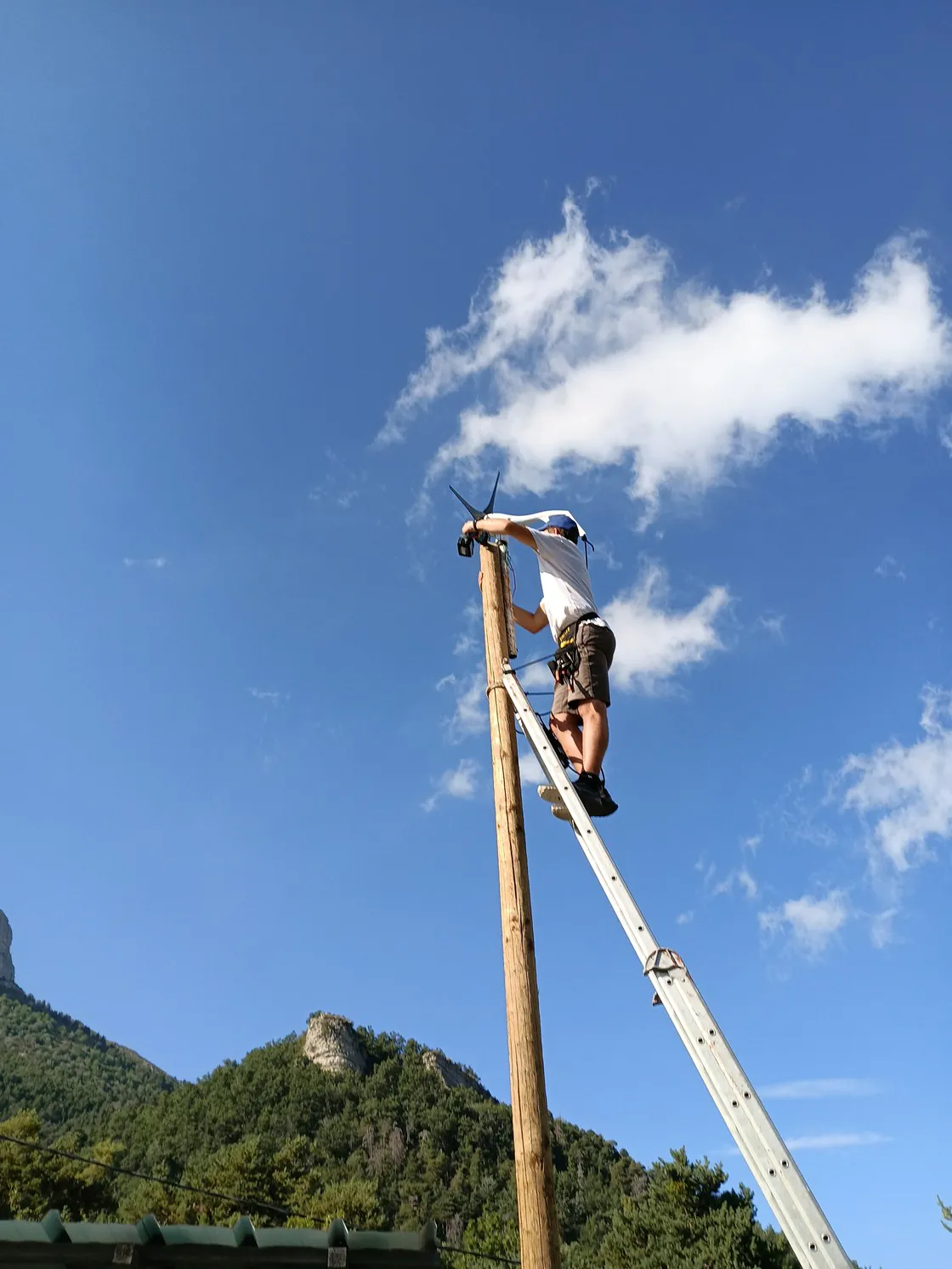 Un technicien sur une échelle appuyée à un poteau (travail en hauteur).