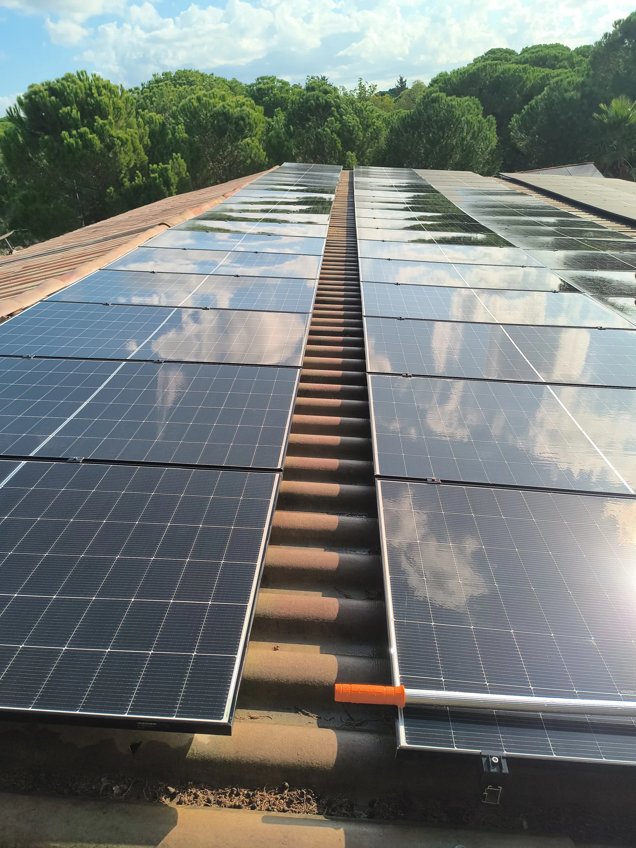 Deux longues rangées de panneaux mouillés sur un toit en tuiles.