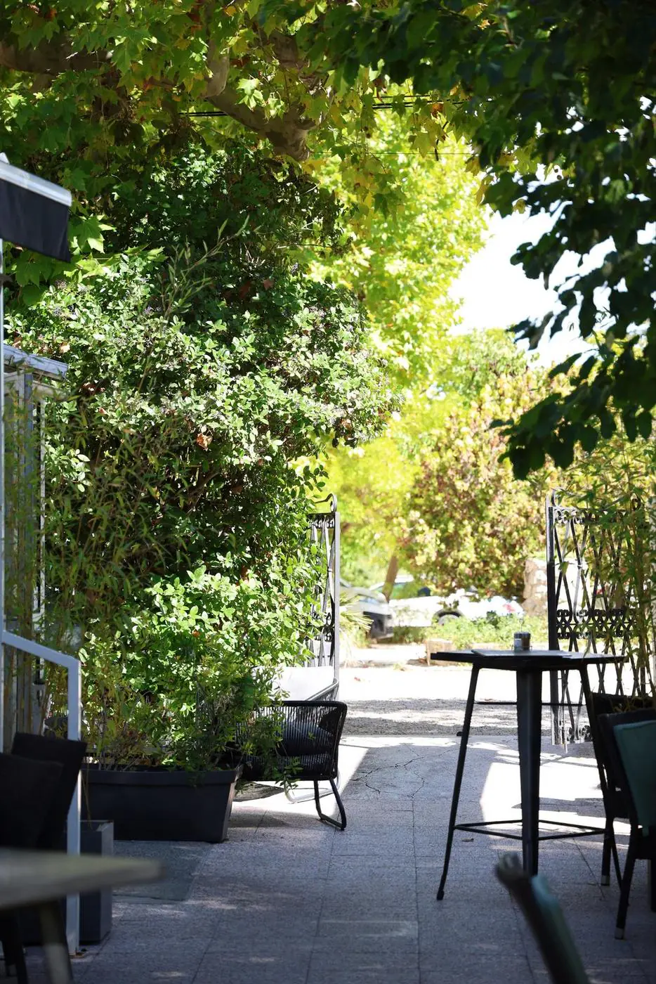L'allée bordée d'arbres menant au porche du domaine
