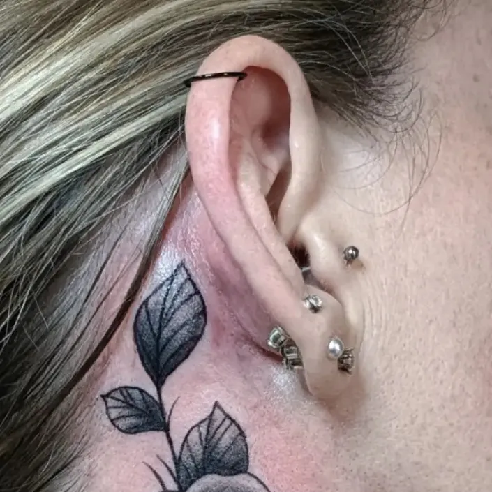 Oreille ornée de plusieurs piercings