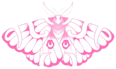 Flash d'un papillon rose aux ailes ornementales, dans l'univers des motifs du salon