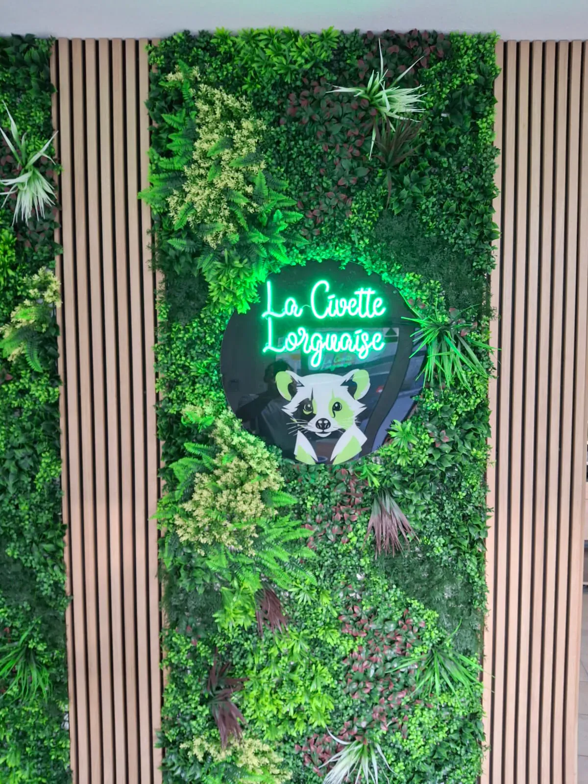 CBD Shop