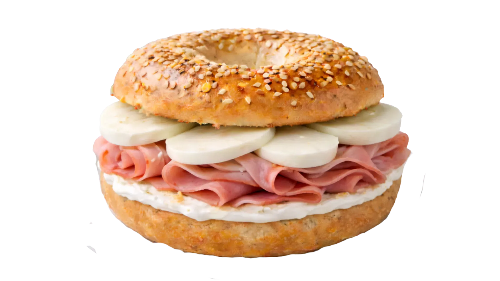 Bagel Minot