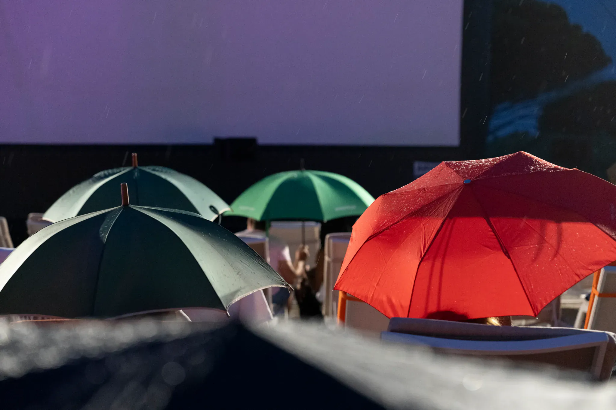 Projection en plein air sous les parapluies, illustration de la diffusion des contenus audiovisuels