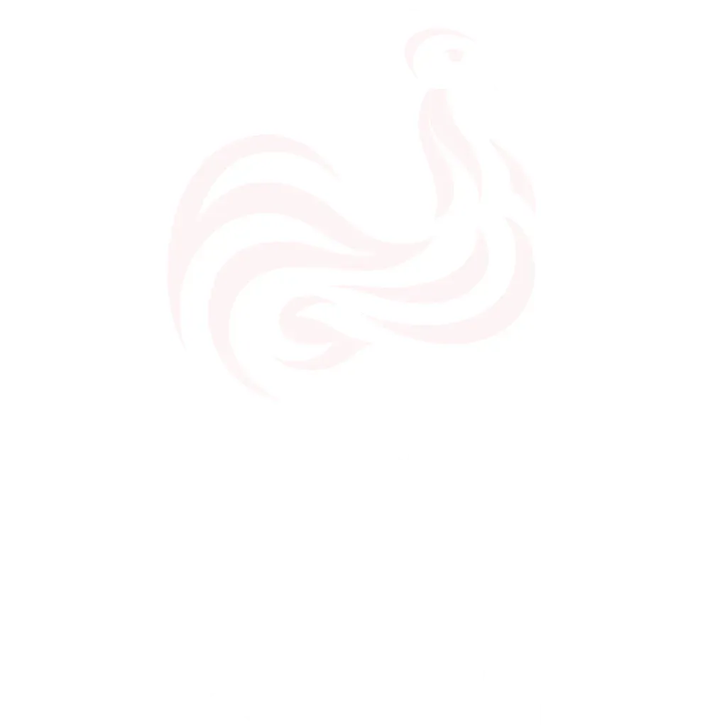 France Rugby