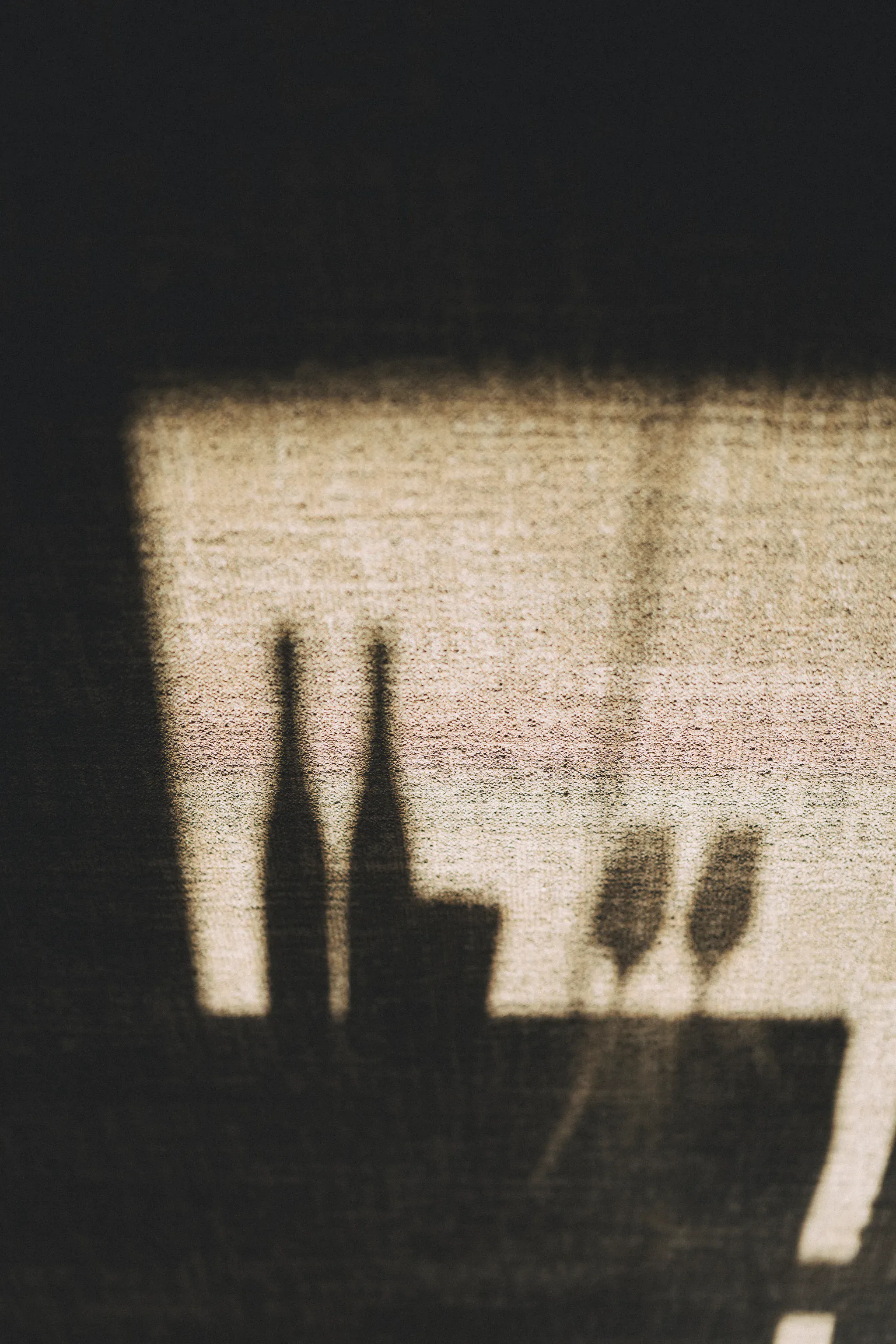 Oenologie — photo 8