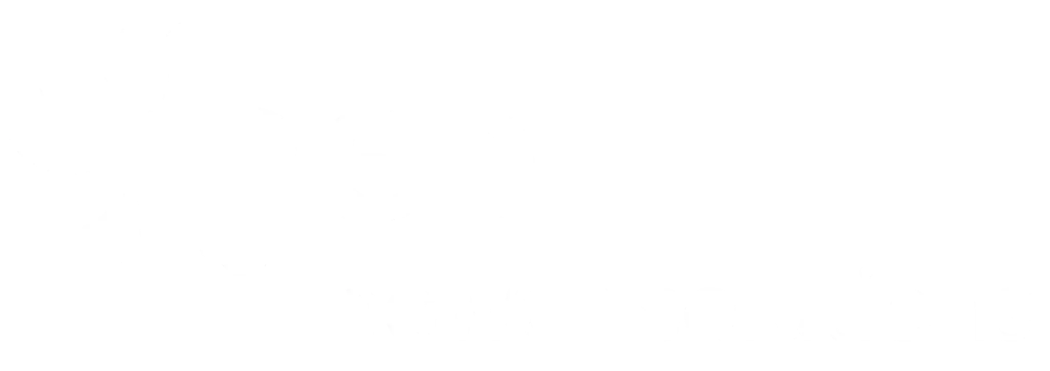 EDF Power Solutions