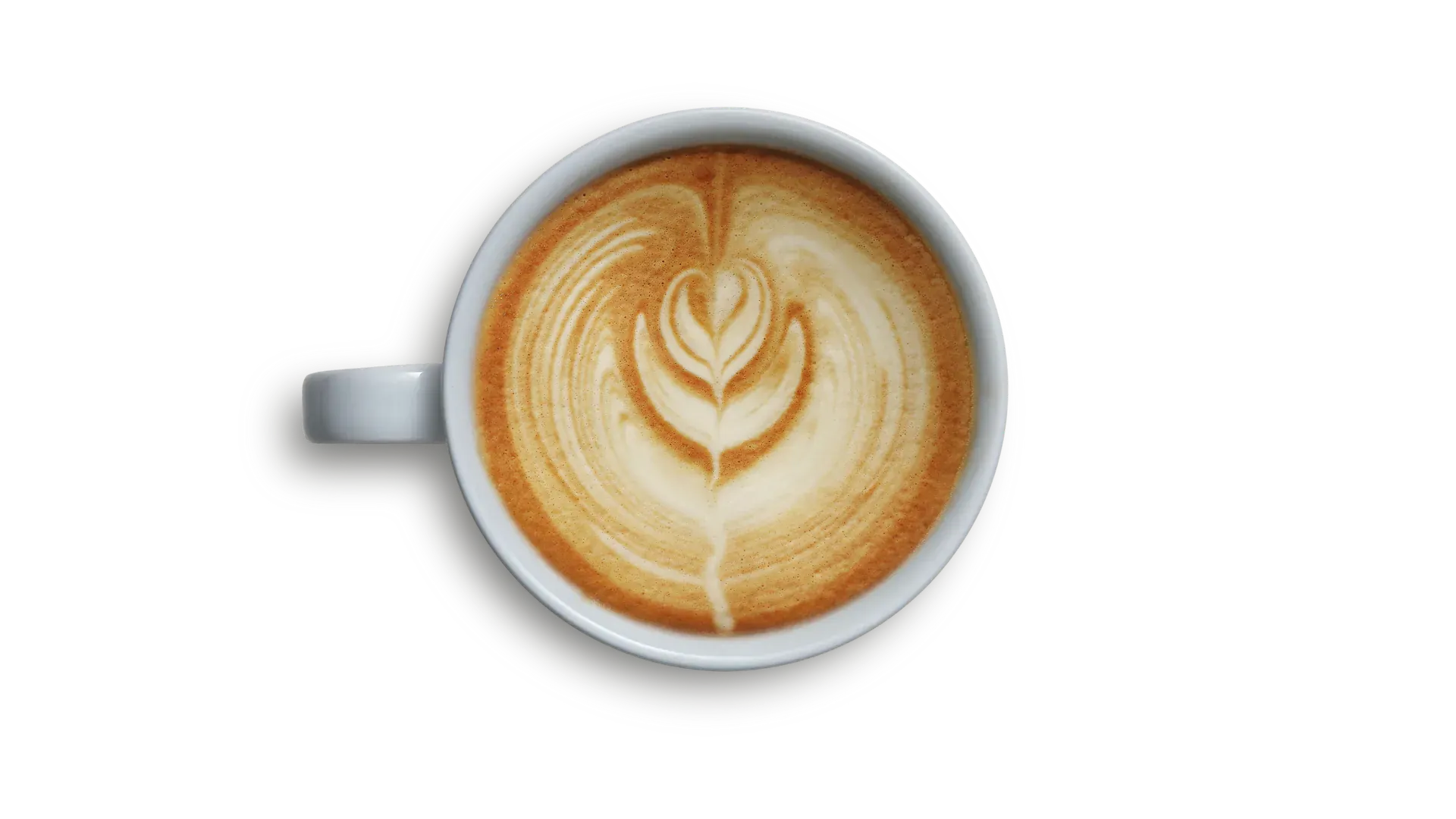 Specialty coffee