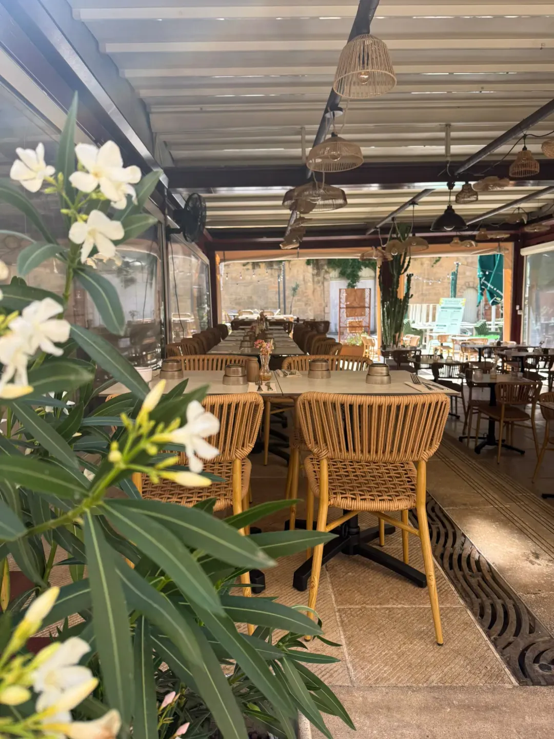 Terrasse couverte aux fauteuils en rotin et lauriers en fleurs