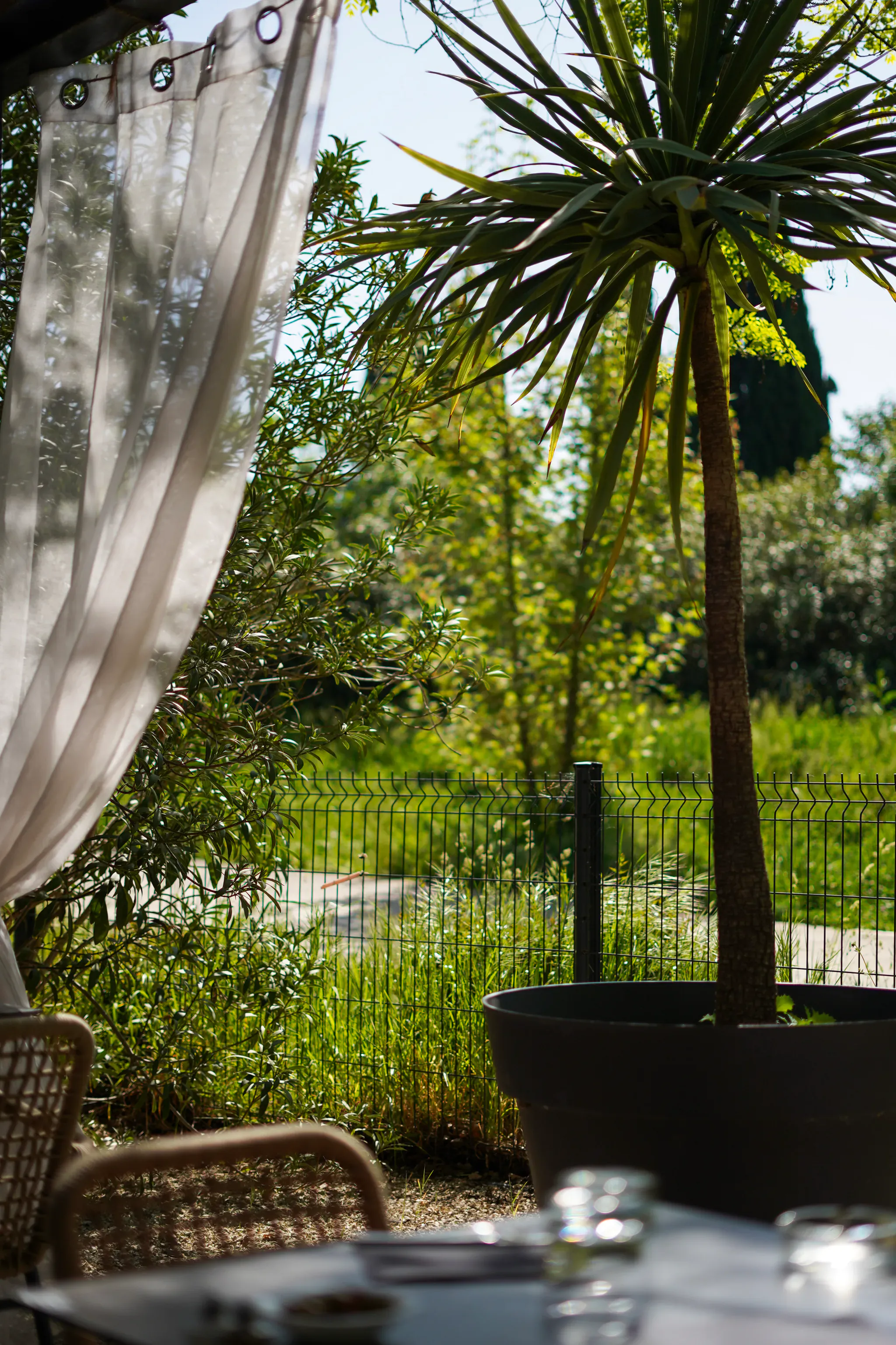 Vue depuis la terrasse verdoyante du Millésime sur un jardin avec palmier