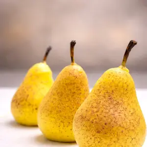 Création trompe-l'œil poire