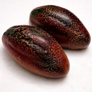 Création trompe-l'œil fève de cacao