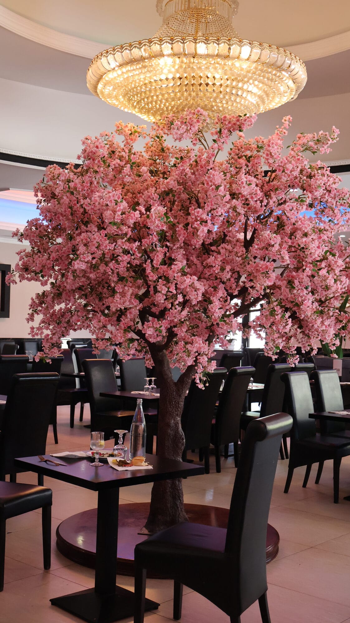 Salle GOGI avec un cerisier en fleurs et lumières chaudes