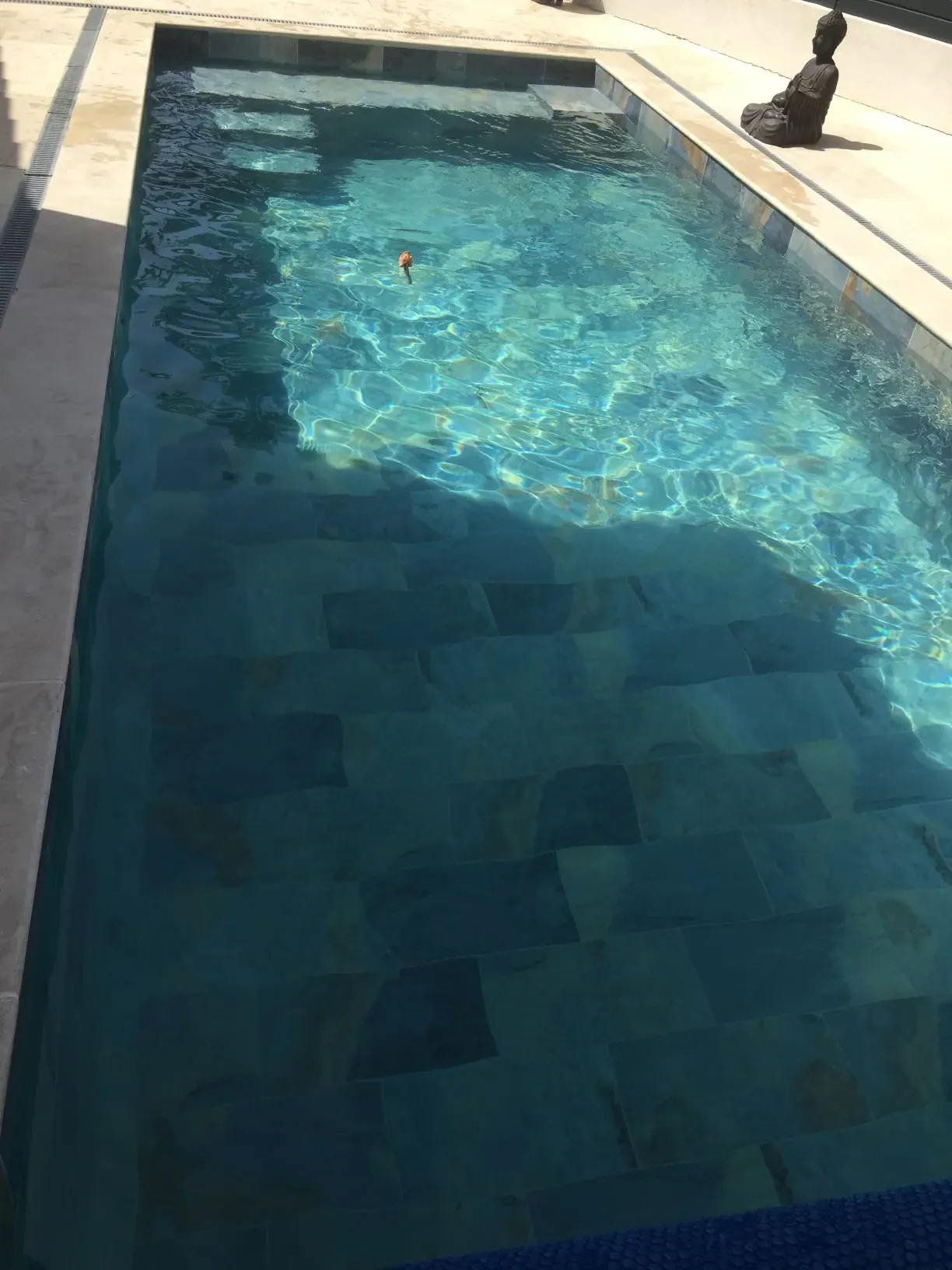 Piscine moderne en Provence