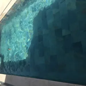 Vue en plongée d'une piscine au carrelage bleu-vert entretenue par un pisciniste du pays aixois