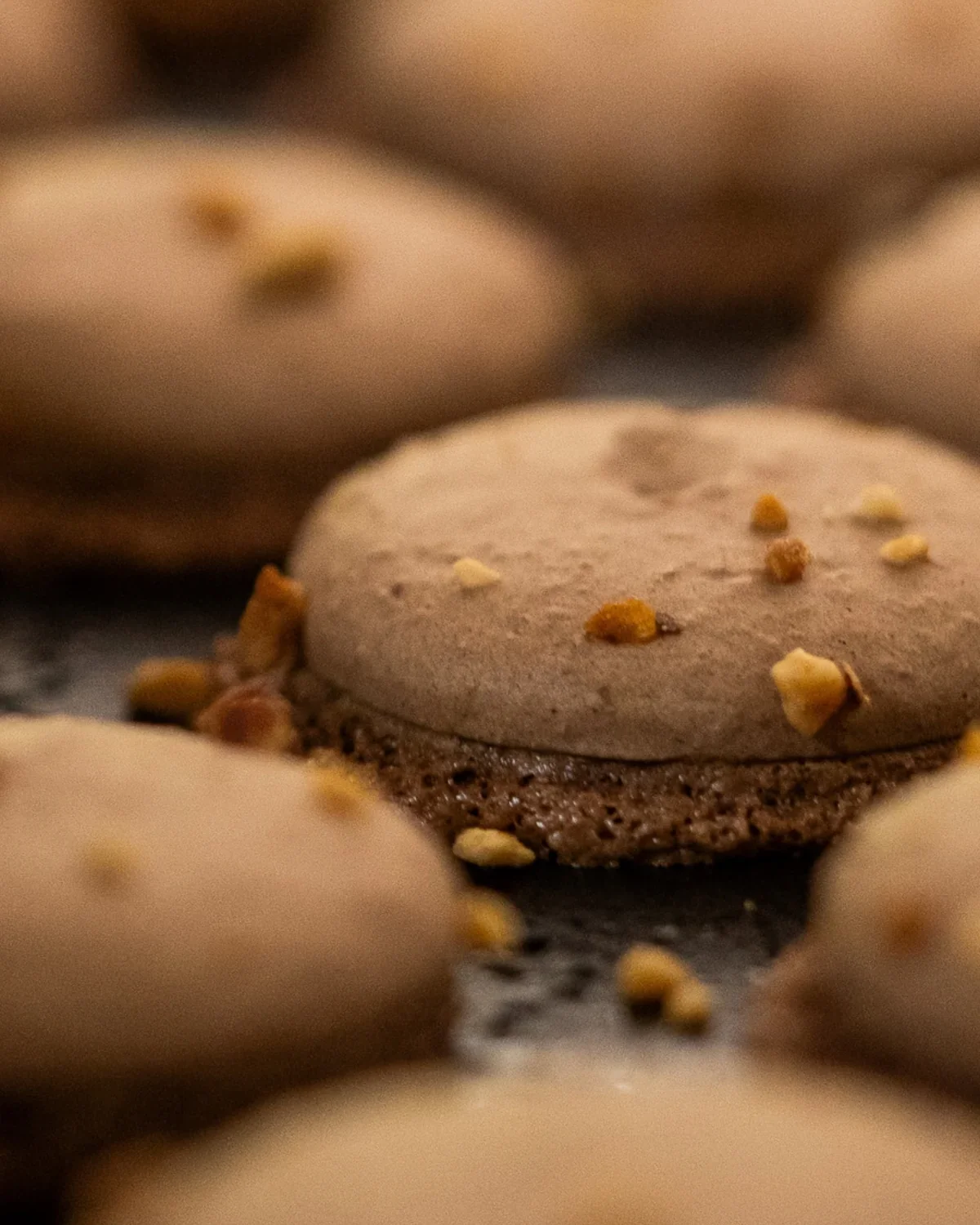 Détail produit, coques de macarons assorties