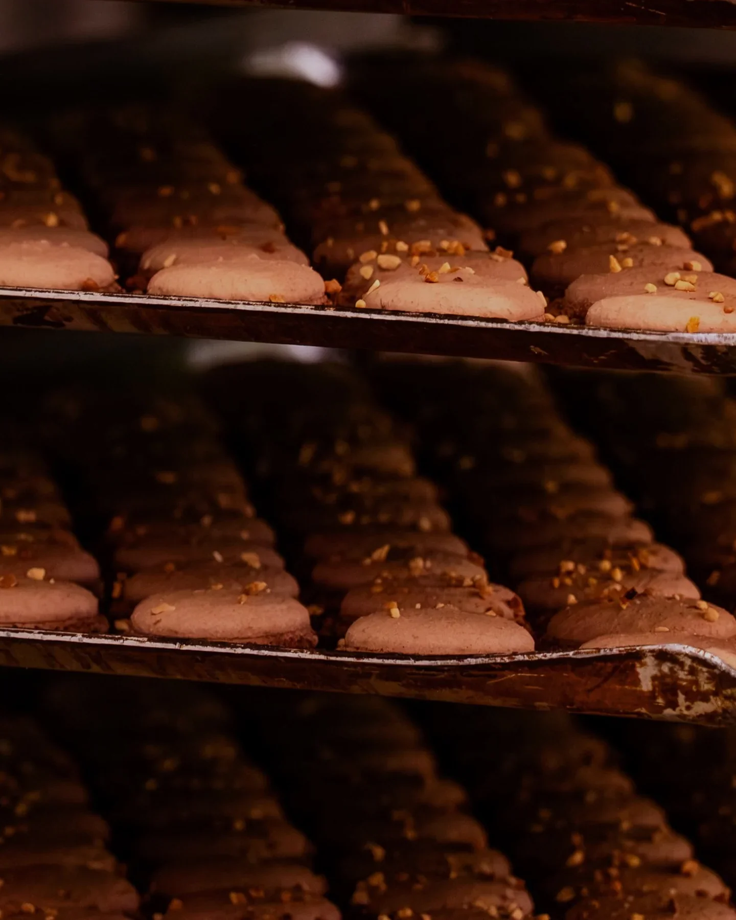 Coques de macarons crues alignées sur la plaque avant cuisson