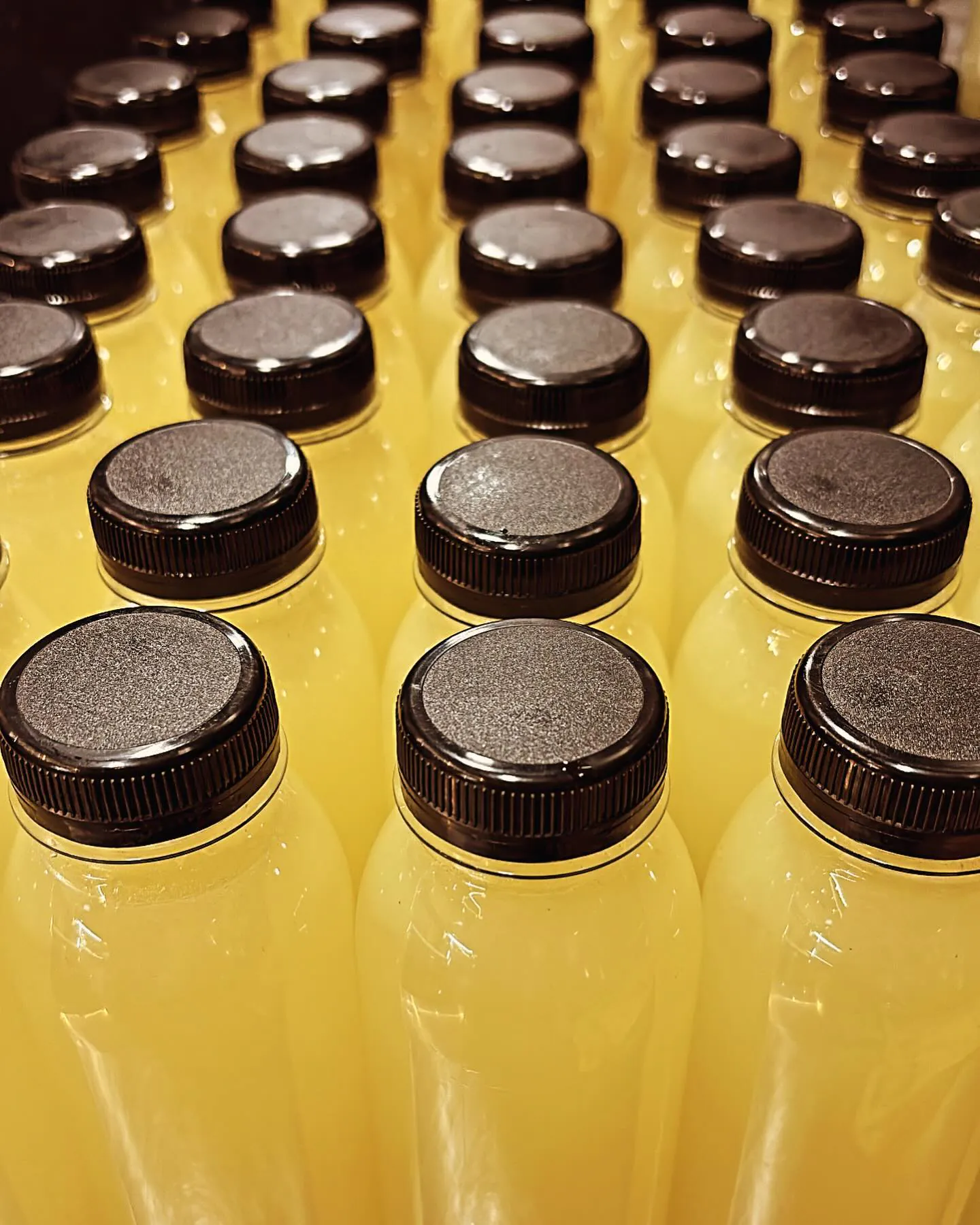 Bouteilles de citronnade maison alignées, prêtes pour le service